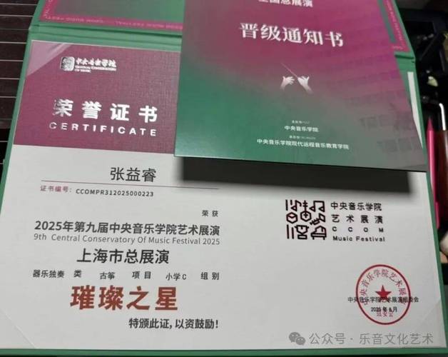 中央音乐学院2025年MFA