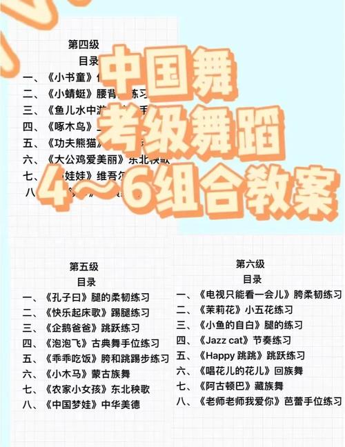 北京舞蹈学院中国舞考级六级