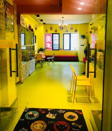 长沙少儿美术哪里工资高