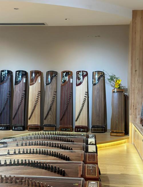 音乐学院古筝专业所学专业