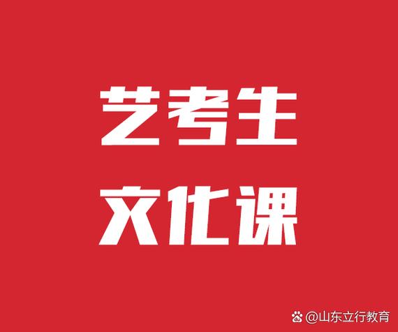 济南最好的艺考补文化课
