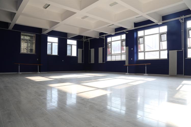 河北 成人舞蹈培训机构