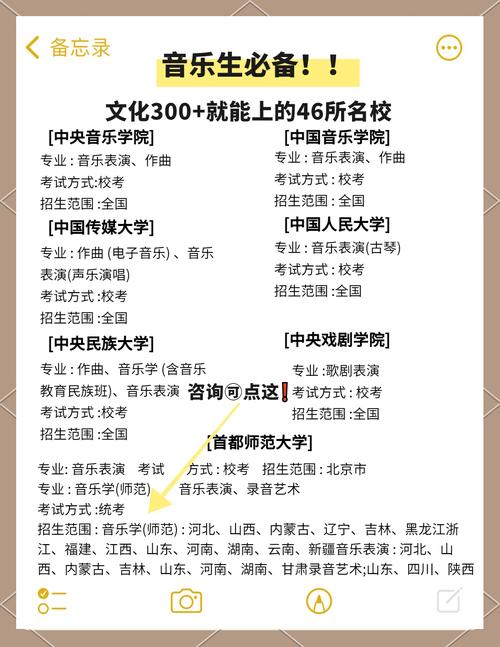 音乐特长生能报考什么学校