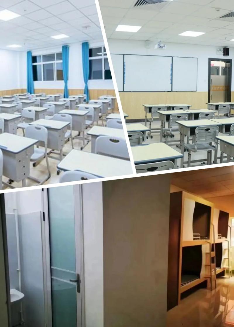 石家庄最好的艺考文化课