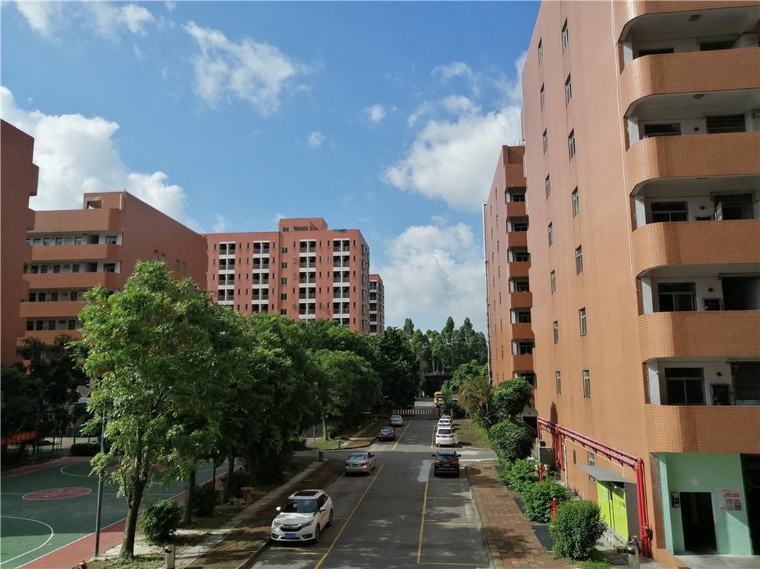 广州大学城音乐艺考机构