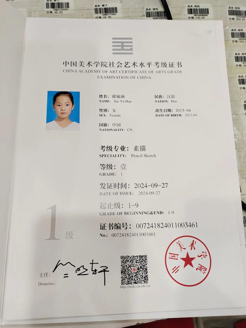 美术基础证书有哪些内容