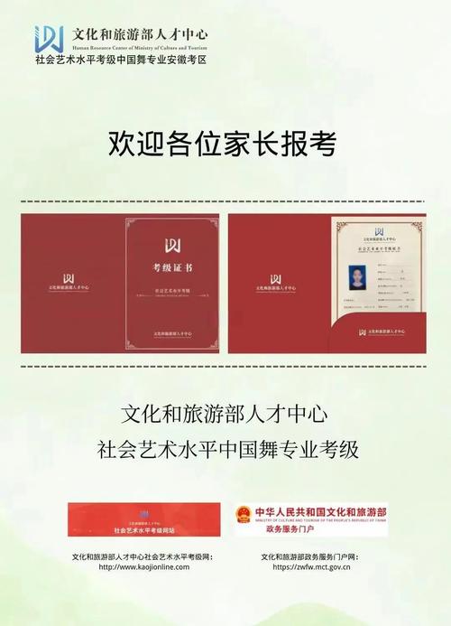 cip舞蹈考试怎么报名