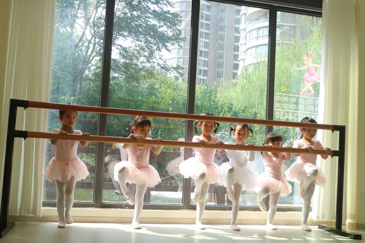 精彩人生少儿舞蹈 芭蕾