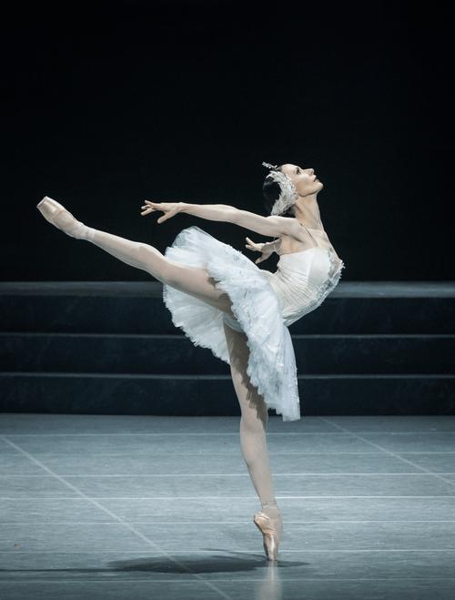 2025年流行什么舞蹈