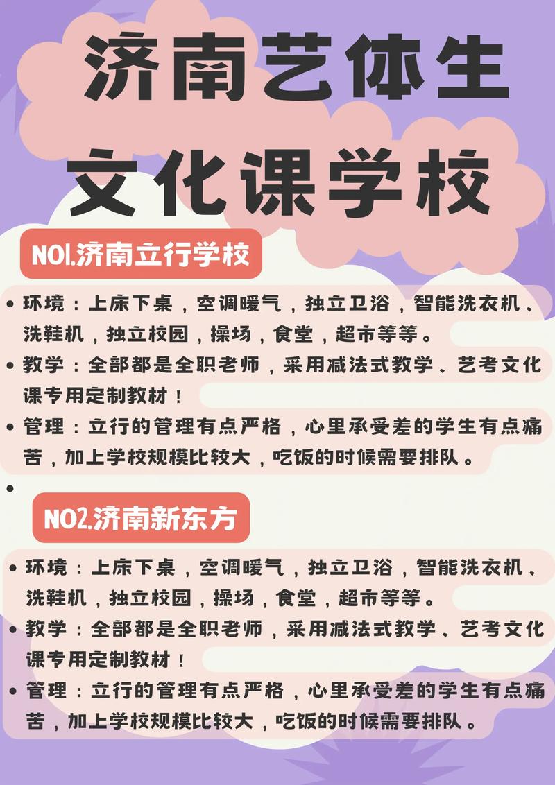 济南哪家艺考补文化课好