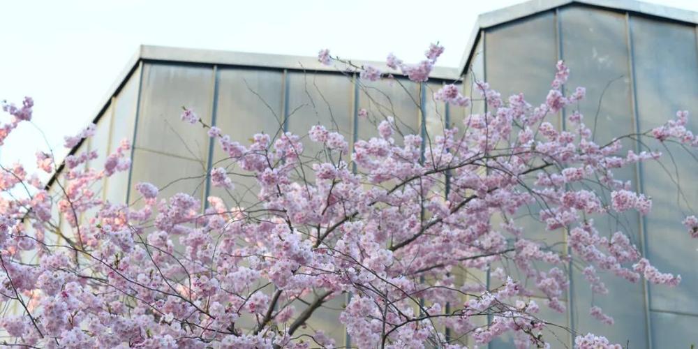 达姆斯塔特音乐艺术学院