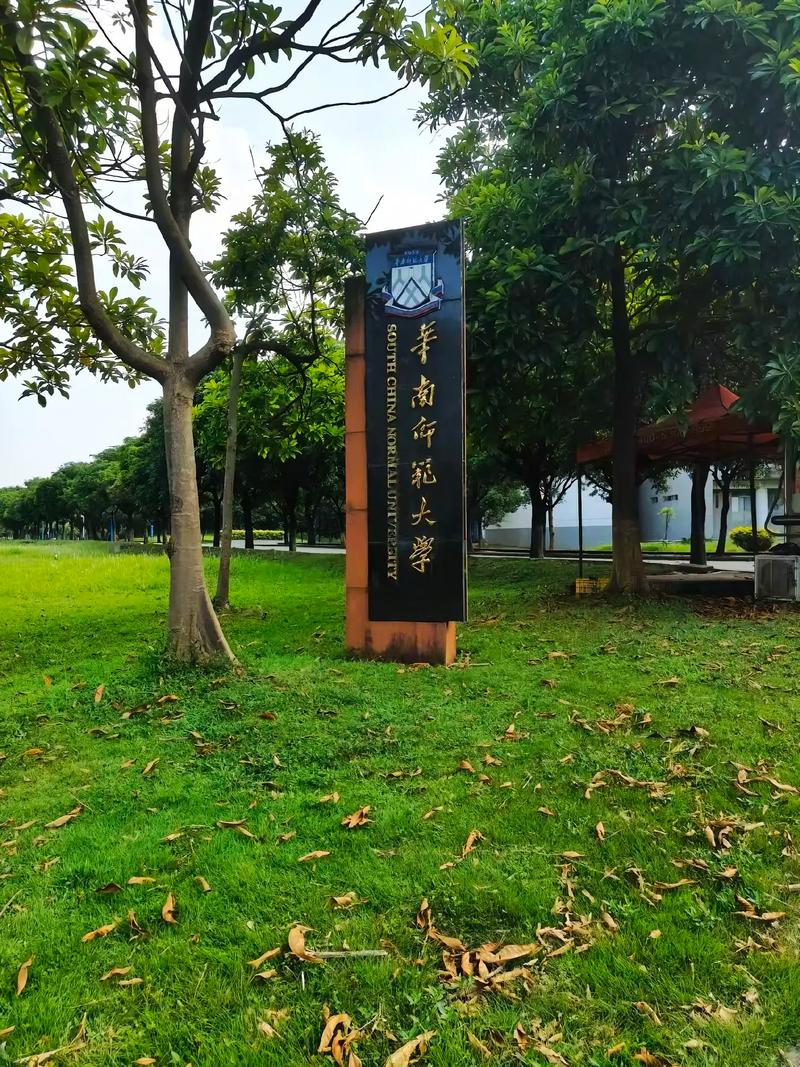 华南师范大学网络音乐学