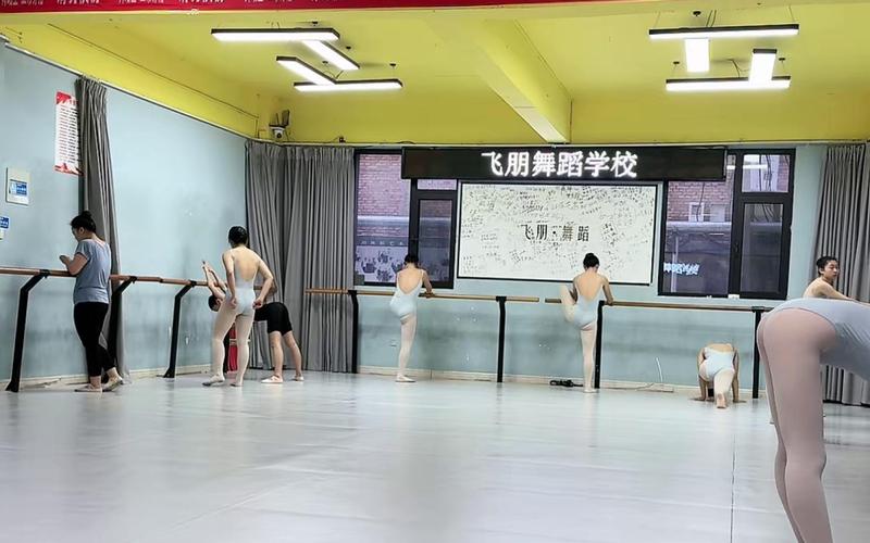 2025舞蹈专升本学校