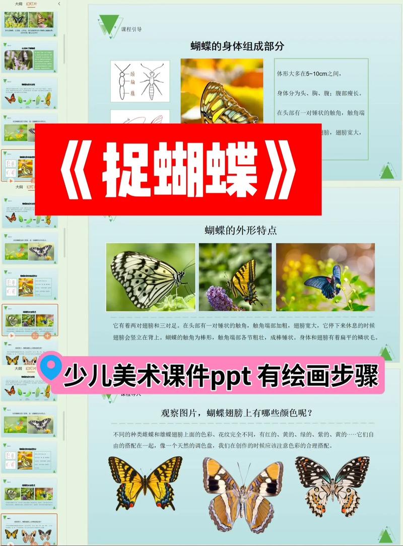 少儿美术课程介绍ppt