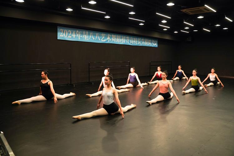 舞蹈艺考机构全日制高中