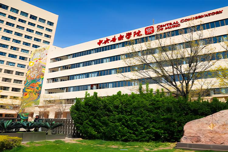 北京市大兴区有音乐学院