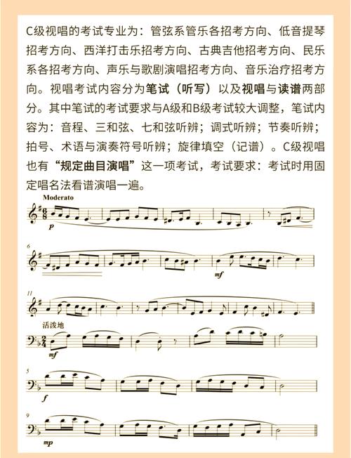 中央音乐学院 音教考试