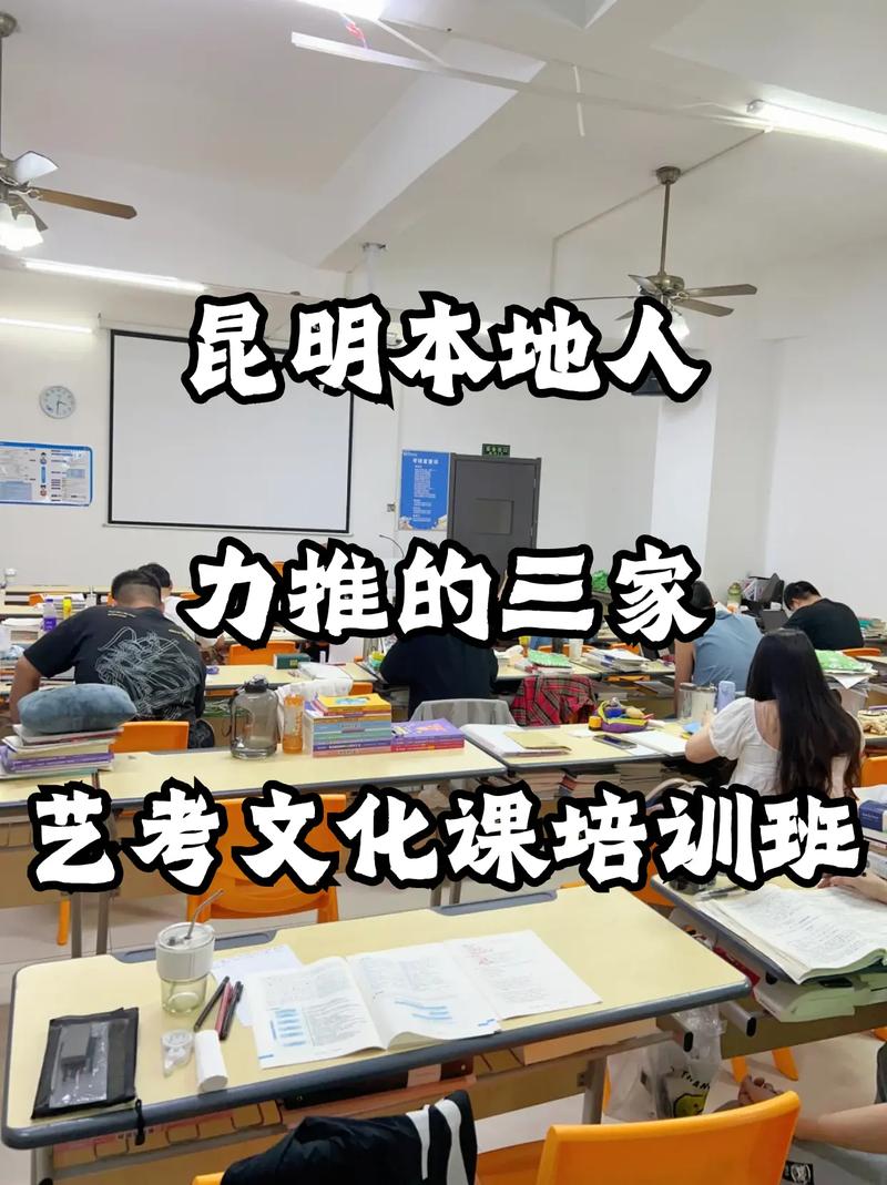 昆明艺考文化课培训学校