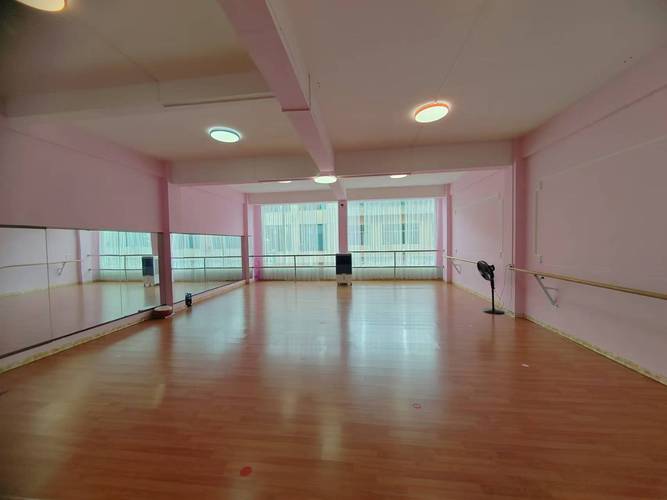 衡阳市少儿舞蹈培训中心