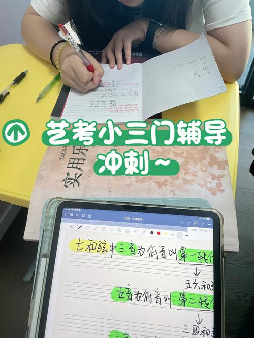 高考音乐小三门培训费用