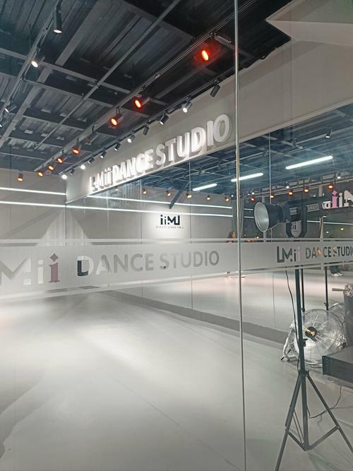 石家庄成人舞蹈培训机构