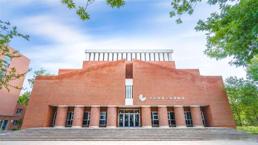 天津新青年艺考北京校区