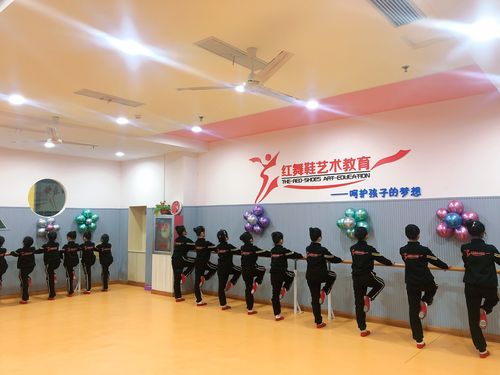 红舞鞋舞蹈艺术培训中心
