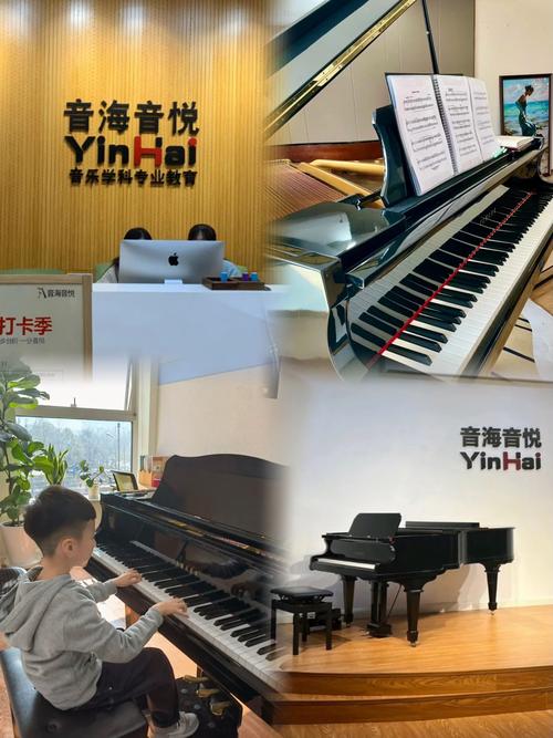 杭州转塘有儿童音乐培训