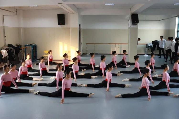 舞蹈学院进修班2025