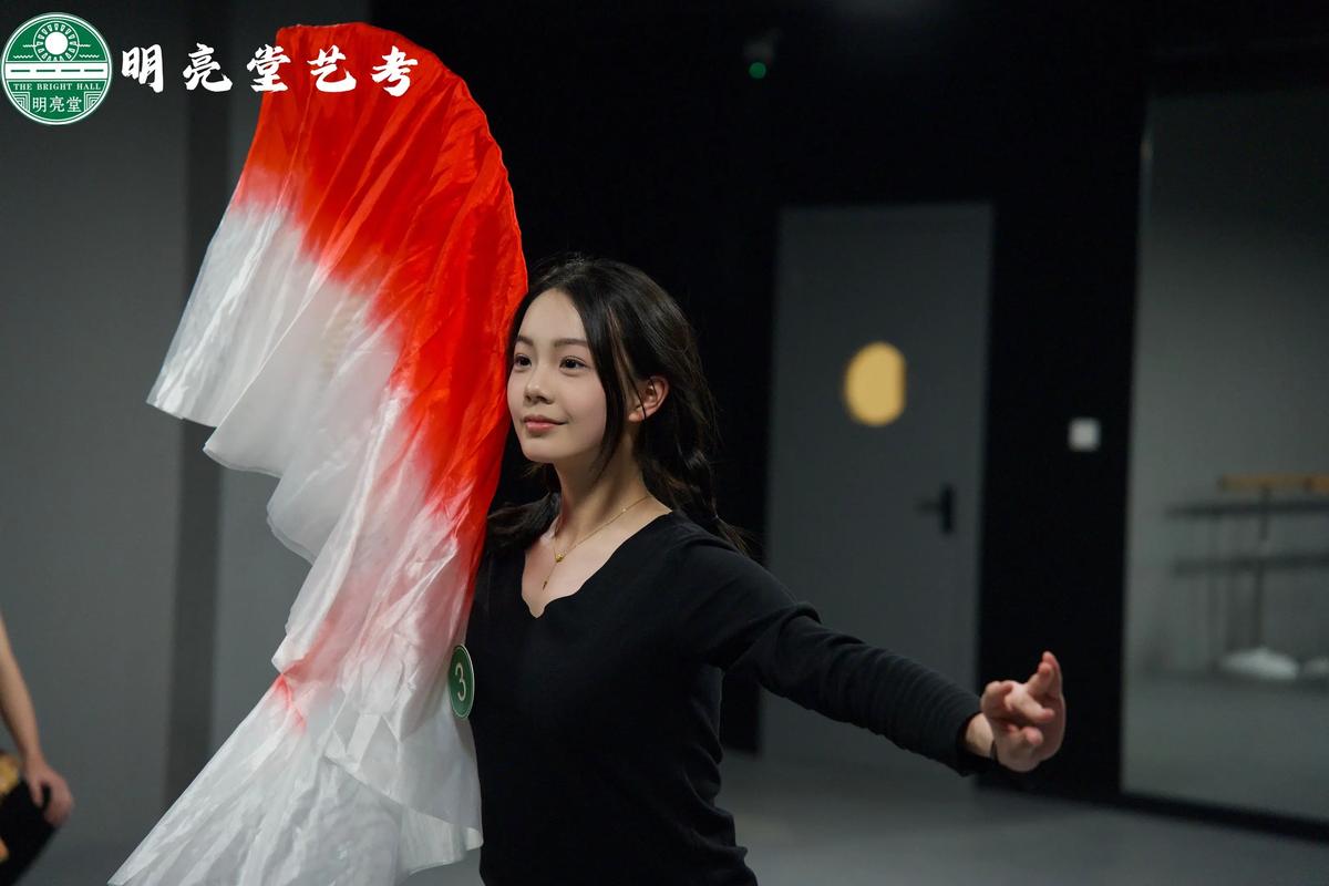 艺考面试的视频会公开吗