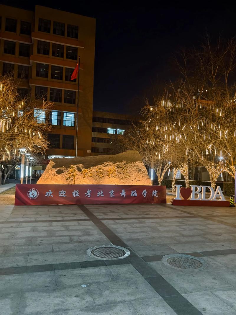 北京舞蹈学院2025年