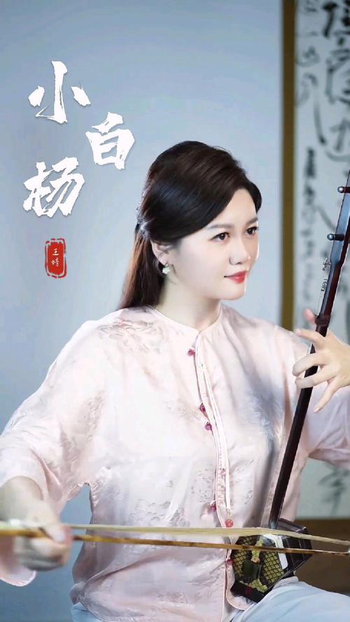 北京二胡 音乐学院老师