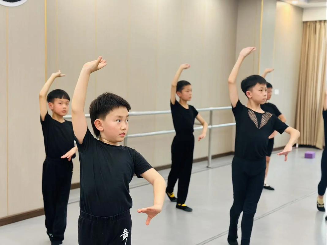 男孩子学什么舞蹈比较好