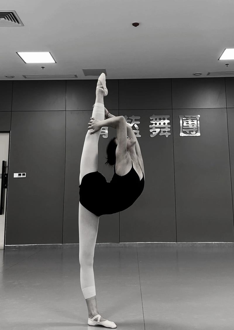 2025年四川艺考舞蹈