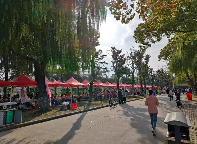 扬大音乐继续教育怎么样