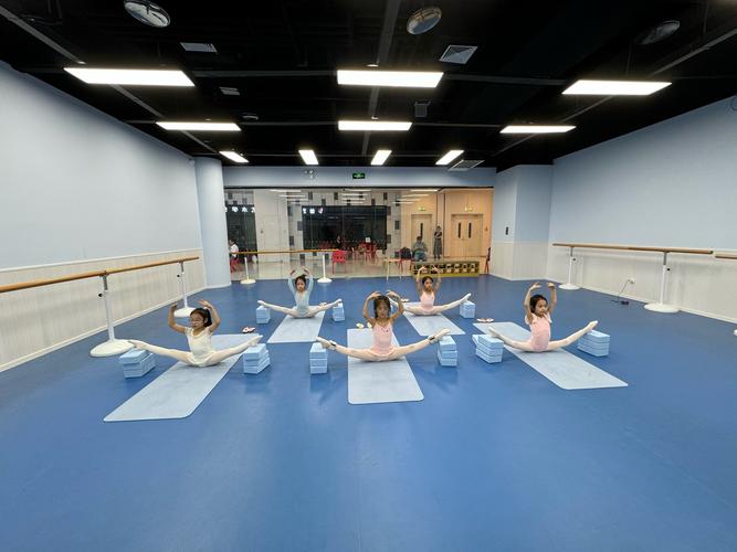 北京神采舞蹈学校好吗