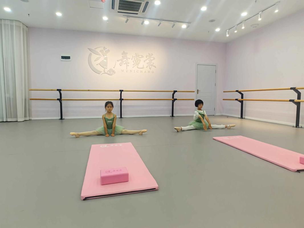 中国哪个舞蹈培训机构