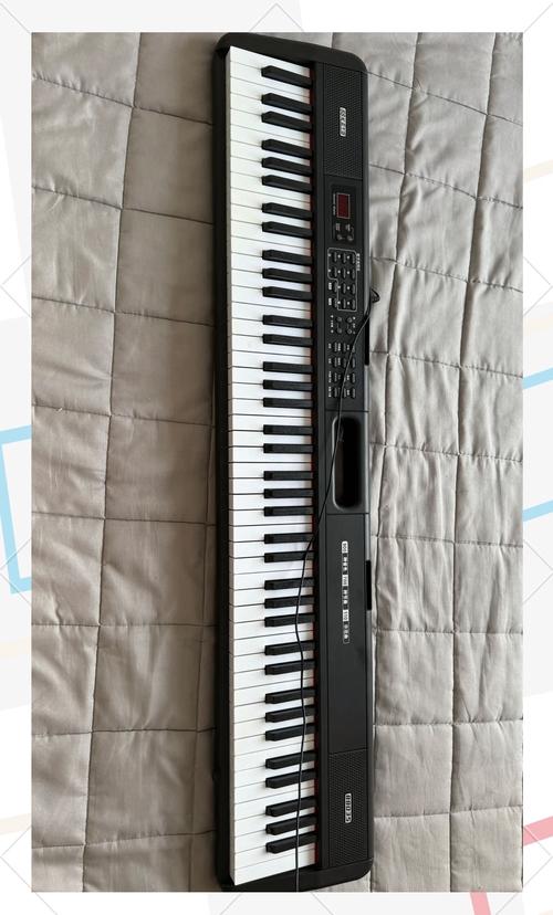 重庆市老年音乐班电子琴