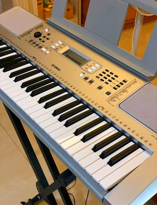 重庆市老年音乐班电子琴