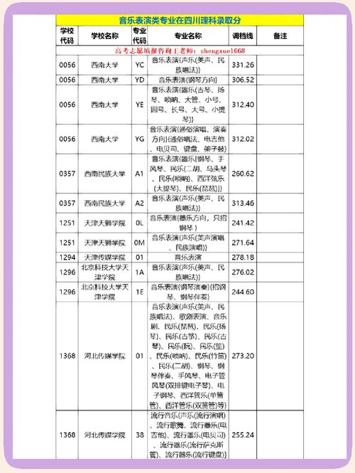 四川成都音乐学院艺考生