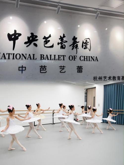 成都市舞蹈艺考培训学校