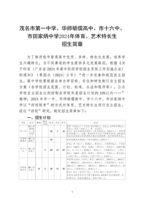 初中升高中有艺考专业吗