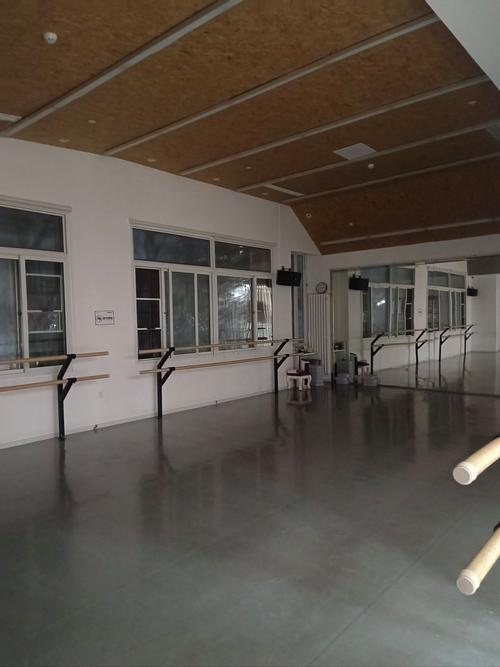 宝安白天舞蹈培训机构