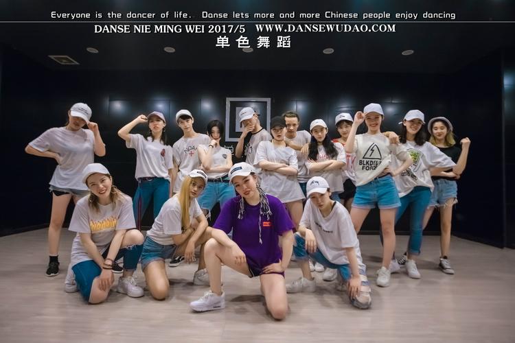 武汉新州单色舞蹈培训