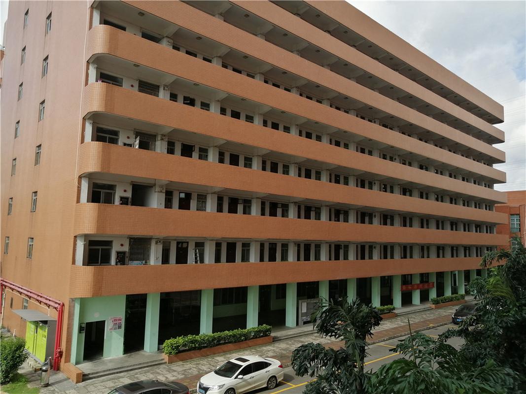 广州市音乐艺考培训机构