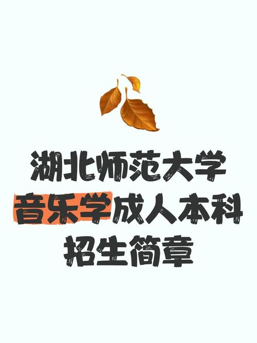 湖北师范大学音乐学师范