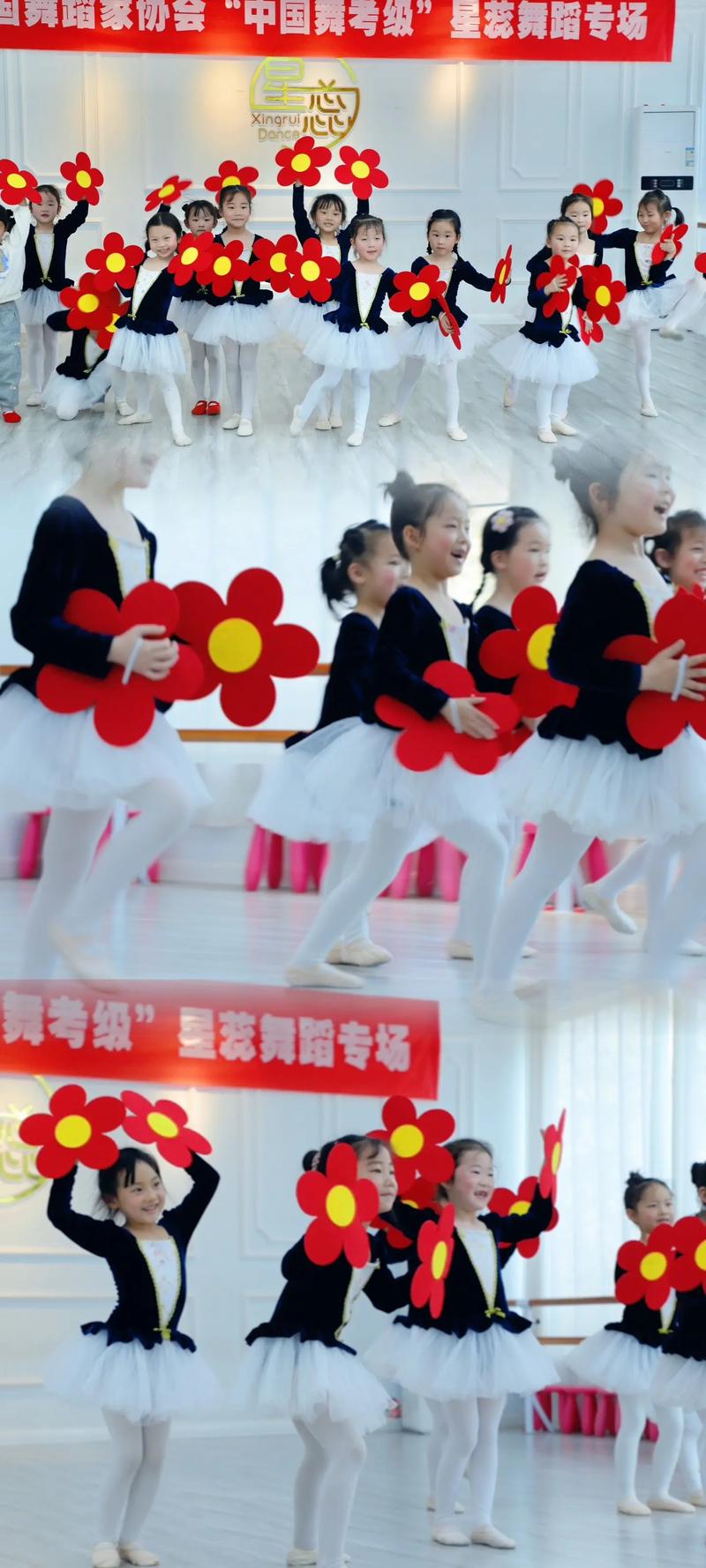 濮阳幼师学校舞蹈视频