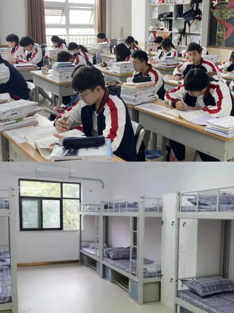 河南艺考文化课培训机构