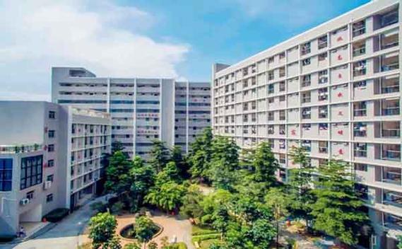 长春明星音乐学校怎么样