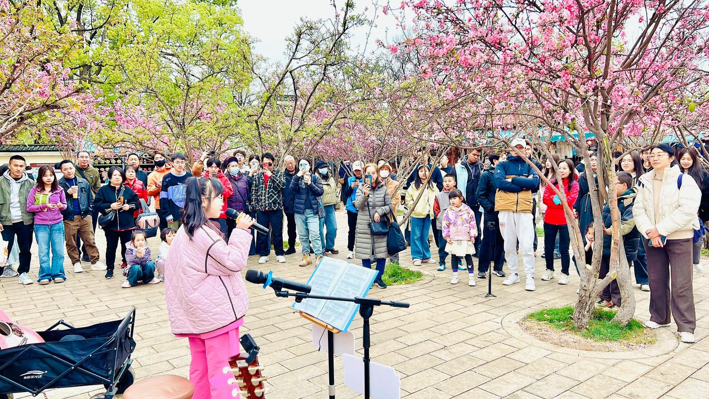 昆明那个地方可以学音乐